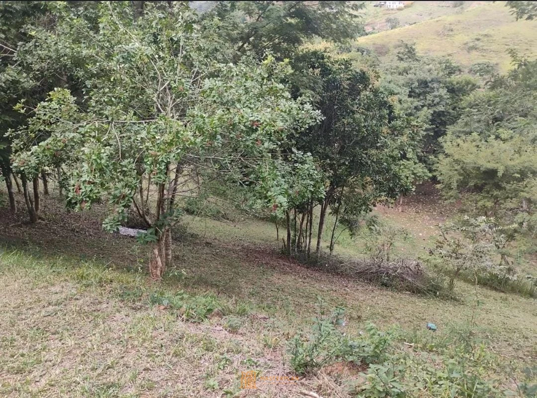 Imagem de Terreno