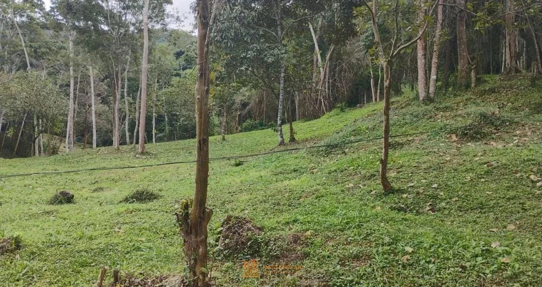 Imagem de Terreno