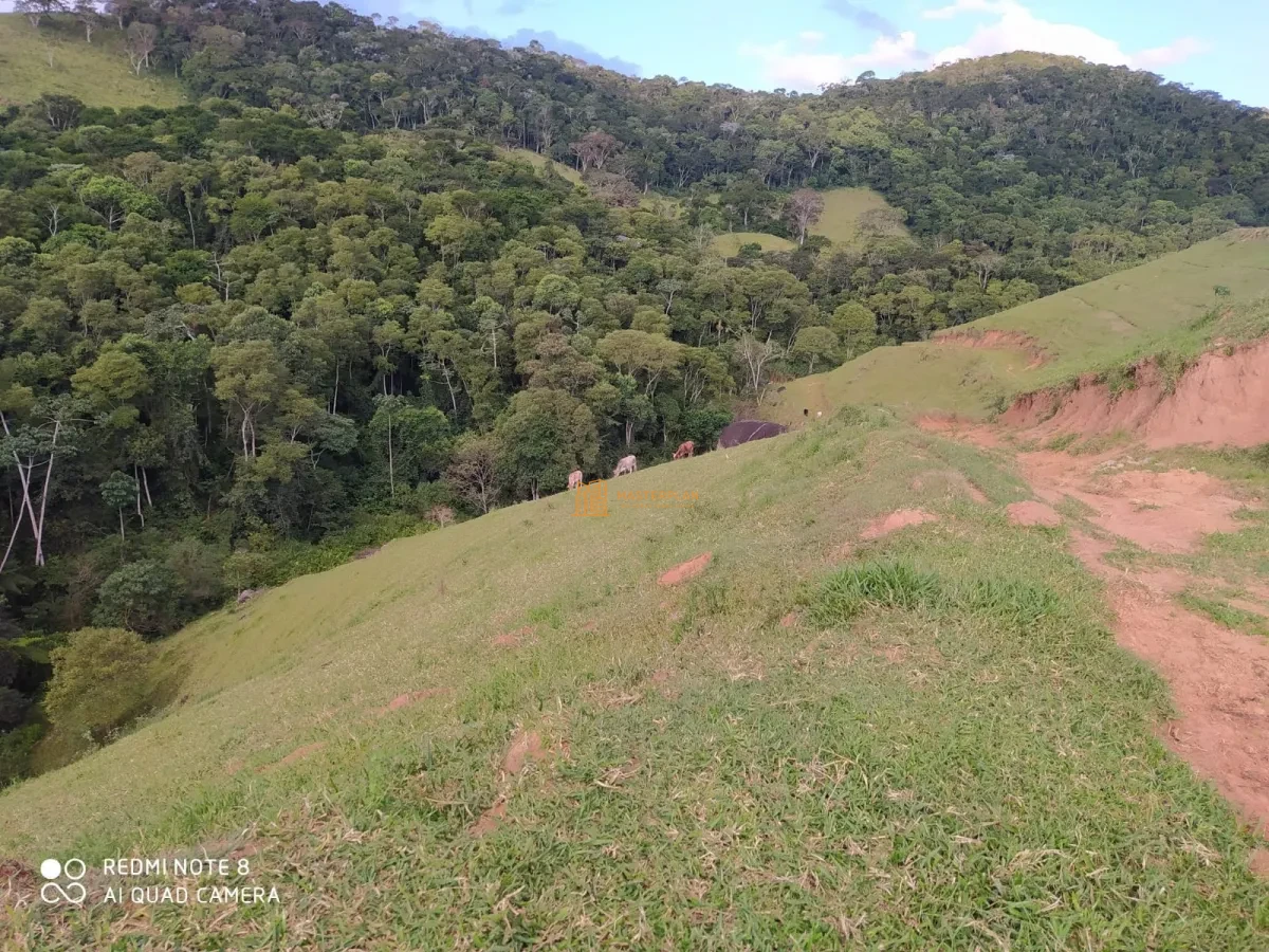 Imagem de 🌳 Fazenda com Pedreira, Eucalipto, Cachoeira e Hotel – Disponível para Venda