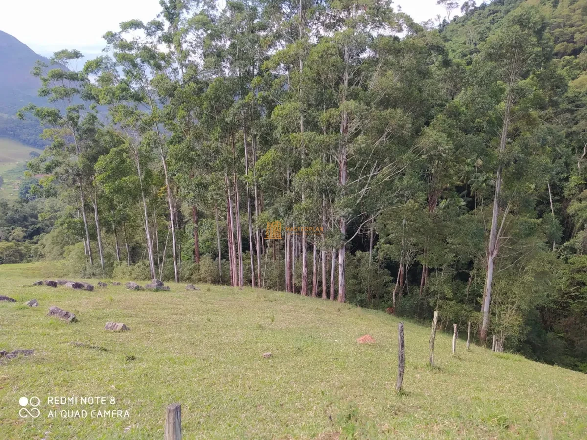 Imagem de 🌳 Fazenda com Pedreira, Eucalipto, Cachoeira e Hotel – Disponível para Venda