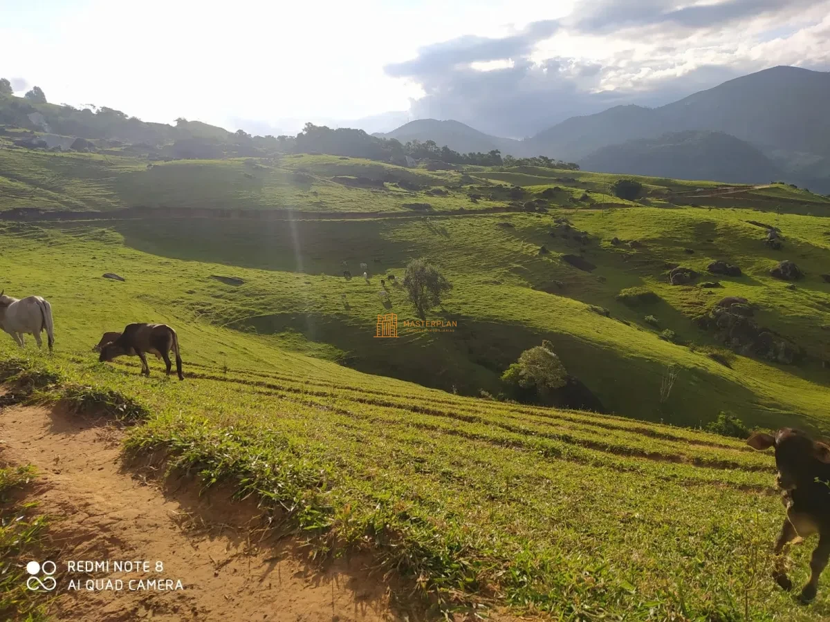 Imagem de 🌳 Fazenda com Pedreira, Eucalipto, Cachoeira e Hotel – Disponível para Venda
