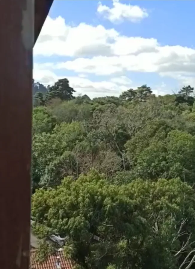 Imagem de Apartamento nº 503