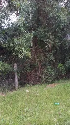 Imagem de Terreno km 378 BR 386