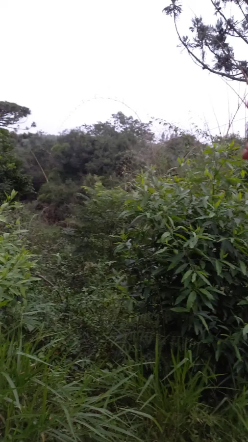 Imagem de Terreno km 378 BR 386