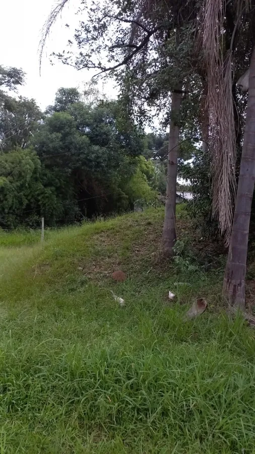 Imagem de Terreno km 378 BR 386