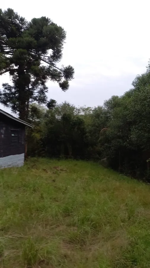 Imagem de Terreno km 378 BR 386