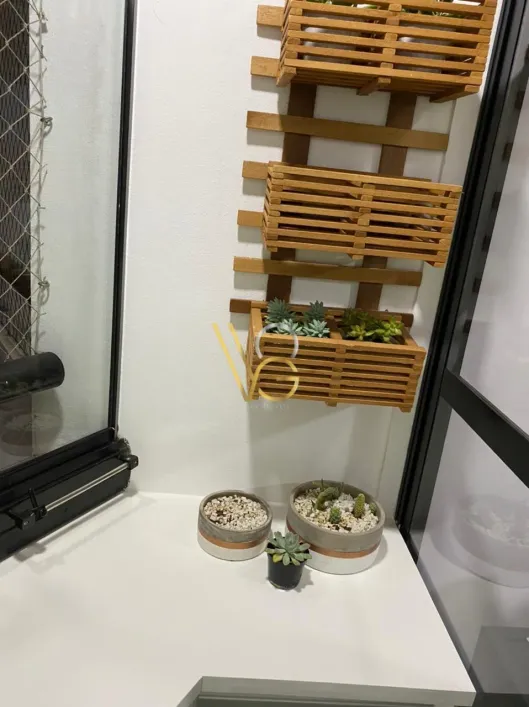 Imagem de Apartamento para venda com 63 metros quadrados com 3 quartos em Tatuapé - São Paulo - SP
