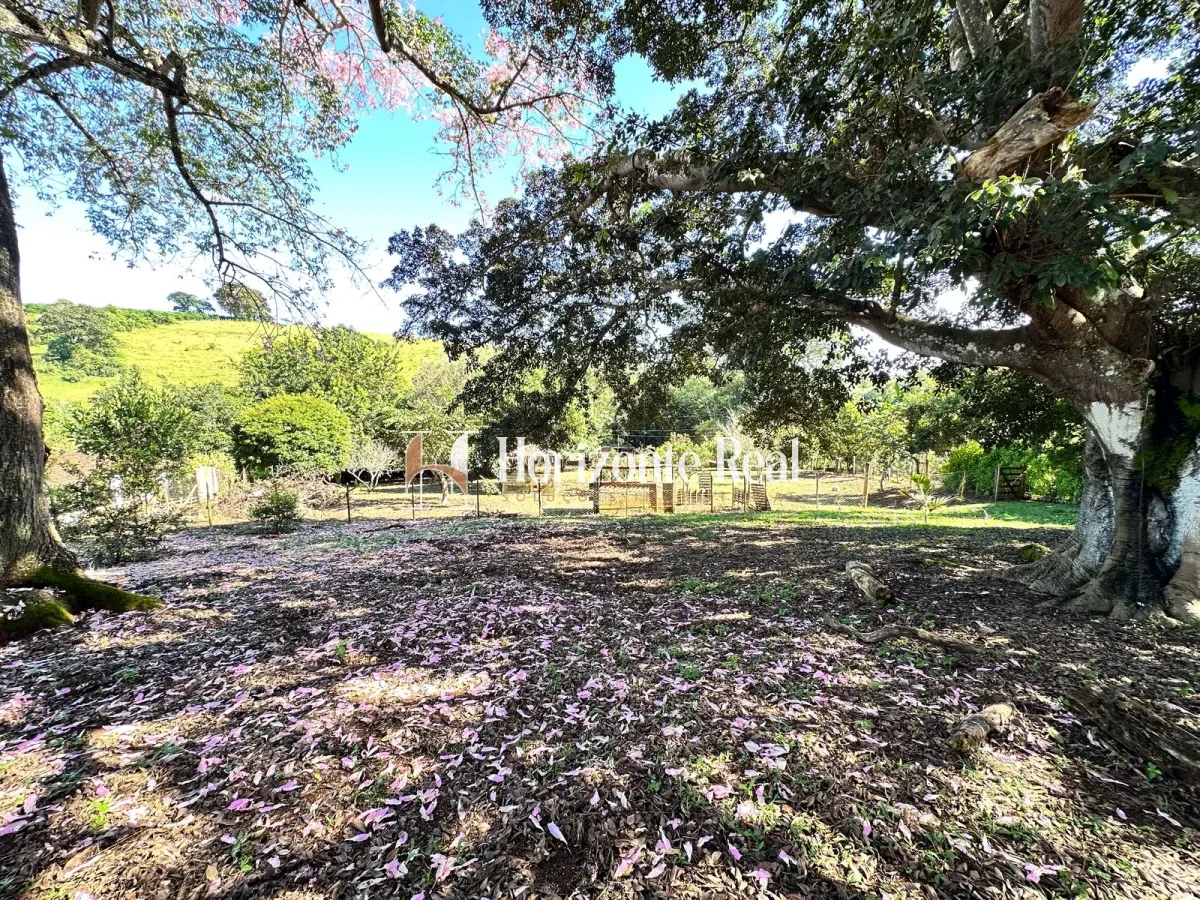 Imagem de CHACARA PARAISO - BAIRRO CAMPO ALEGRE