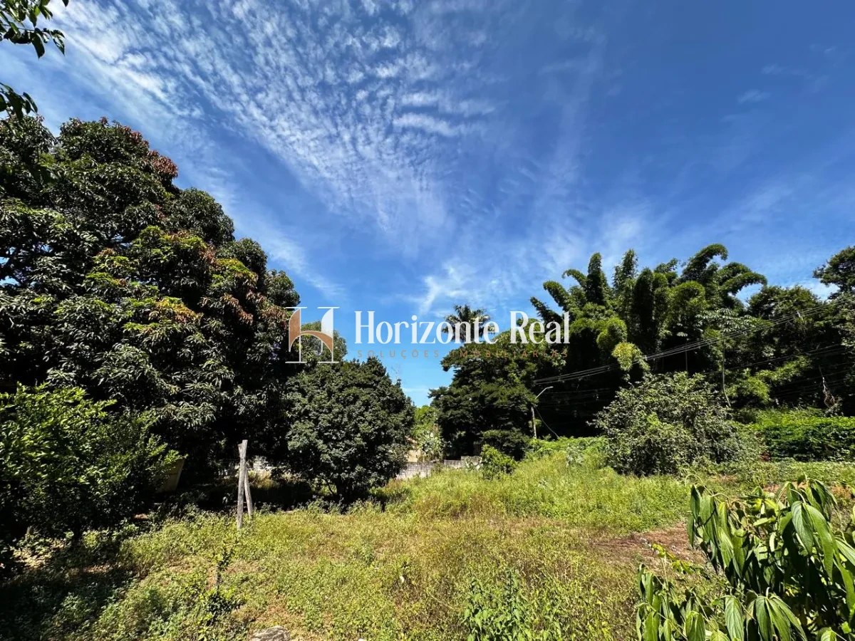 Imagem de TERRENO PONTE PRETA