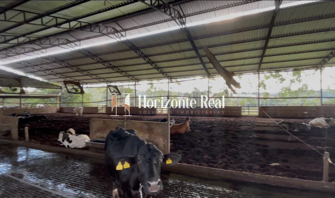 Imagem de FAZENDA MARIANOS - SUL DE MINAS