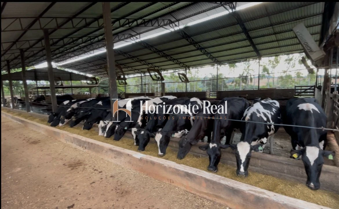 Imagem de FAZENDA MARIANOS - SUL DE MINAS