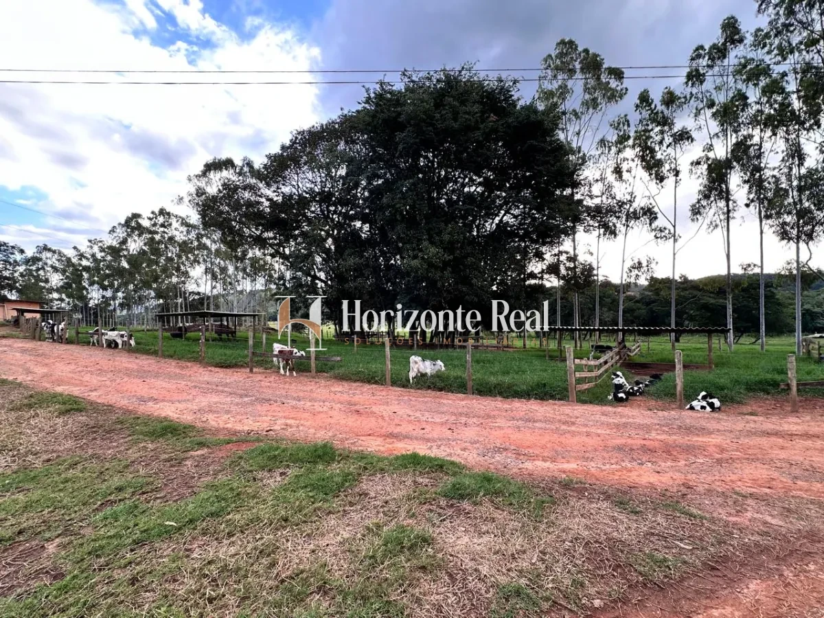 Imagem de FAZENDA MARIANOS - SUL DE MINAS