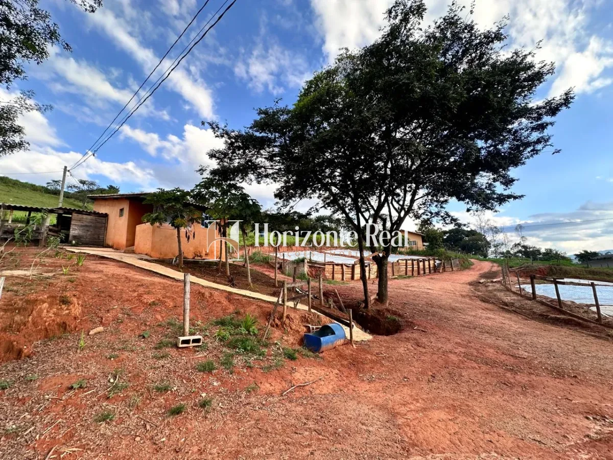 Imagem de FAZENDA MARIANOS - SUL DE MINAS