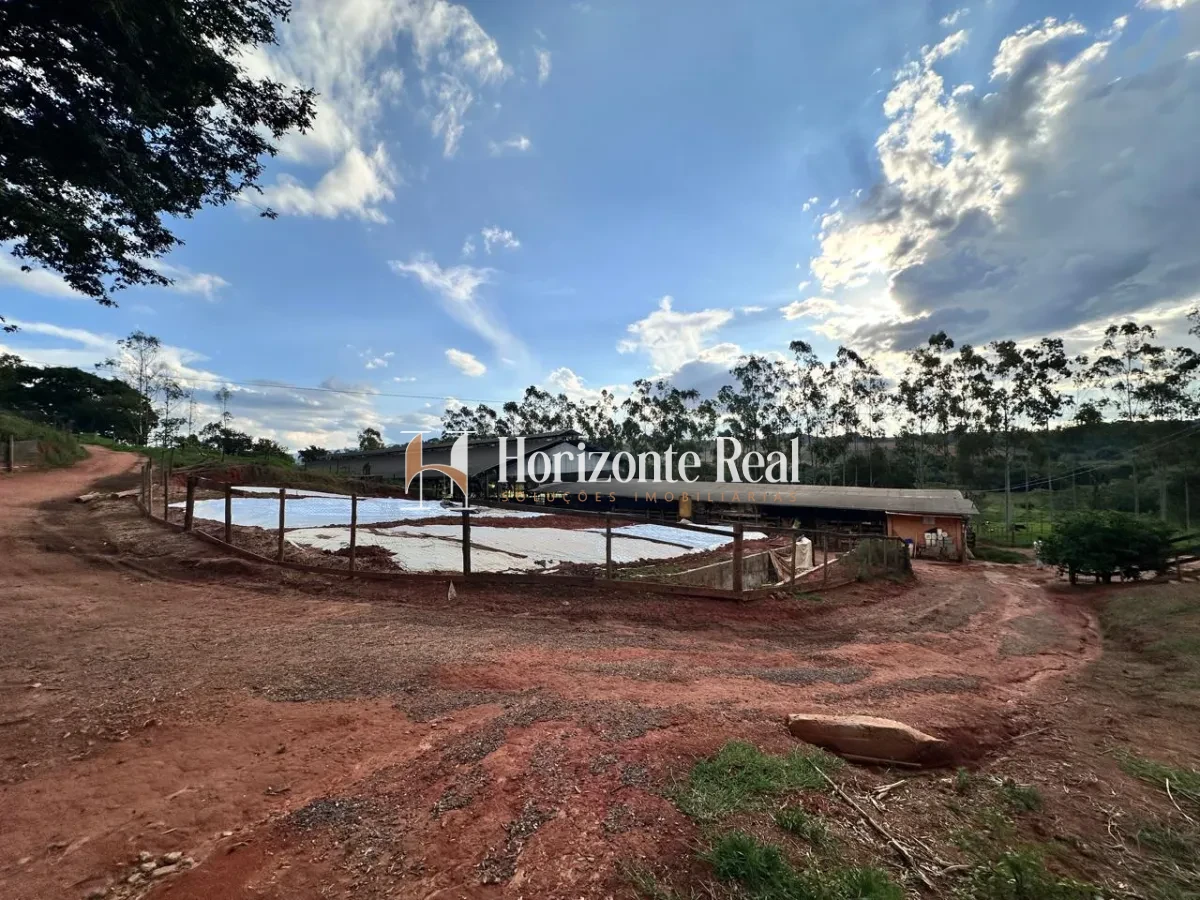 Imagem de FAZENDA MARIANOS - SUL DE MINAS