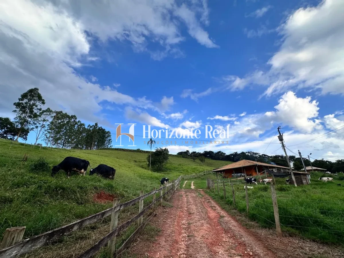 Imagem de FAZENDA MARIANOS - SUL DE MINAS