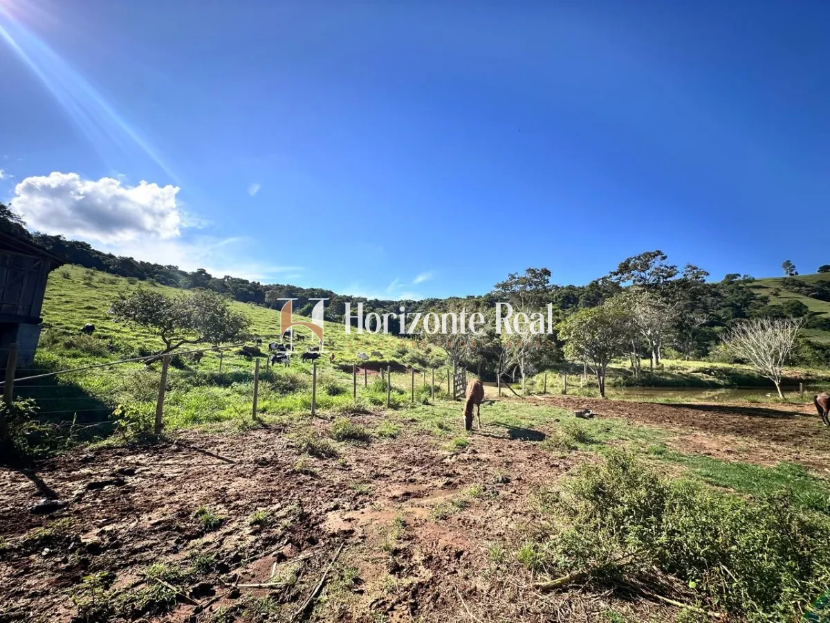 Imagem de SITIO 27 HECTARES - TURVOLANDIA MG