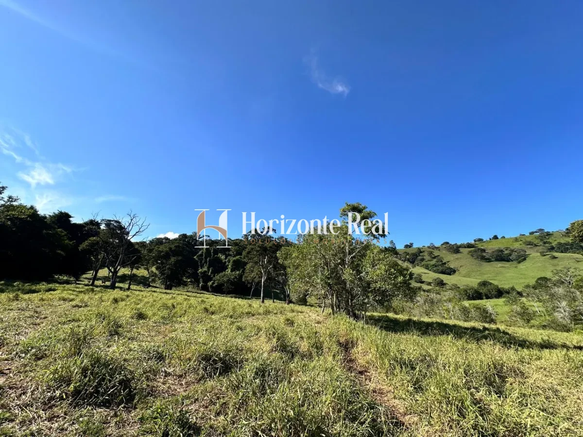 Imagem de SITIO 27 HECTARES - TURVOLANDIA MG