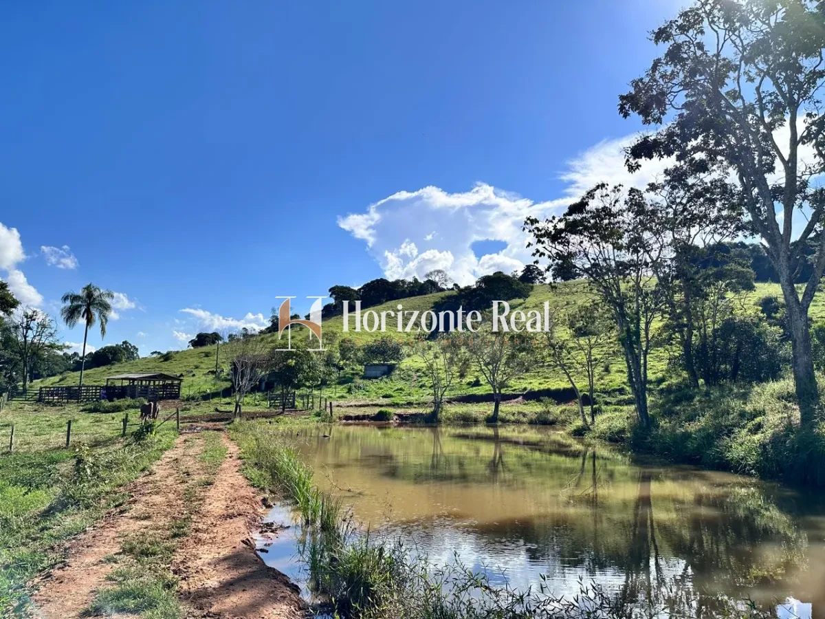 Imagem de SITIO 27 HECTARES - TURVOLANDIA MG