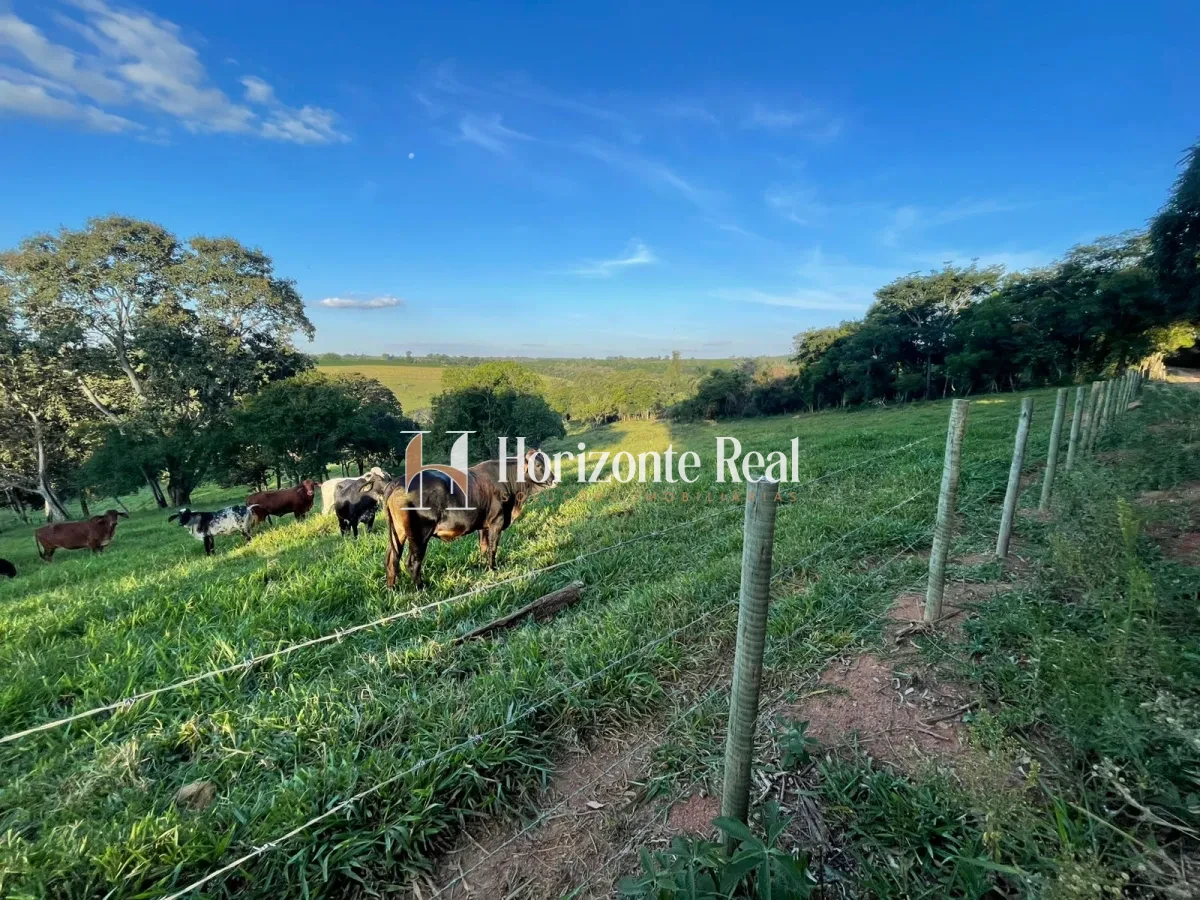 Imagem de VENDE-SE SITIO FORMADO - 5,9 ALQUEIRES - OPORTUNIDADE COMPLETA !!