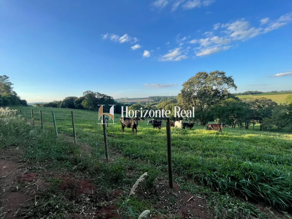Imagem de VENDE-SE SITIO FORMADO - 5,9 ALQUEIRES - OPORTUNIDADE COMPLETA !!