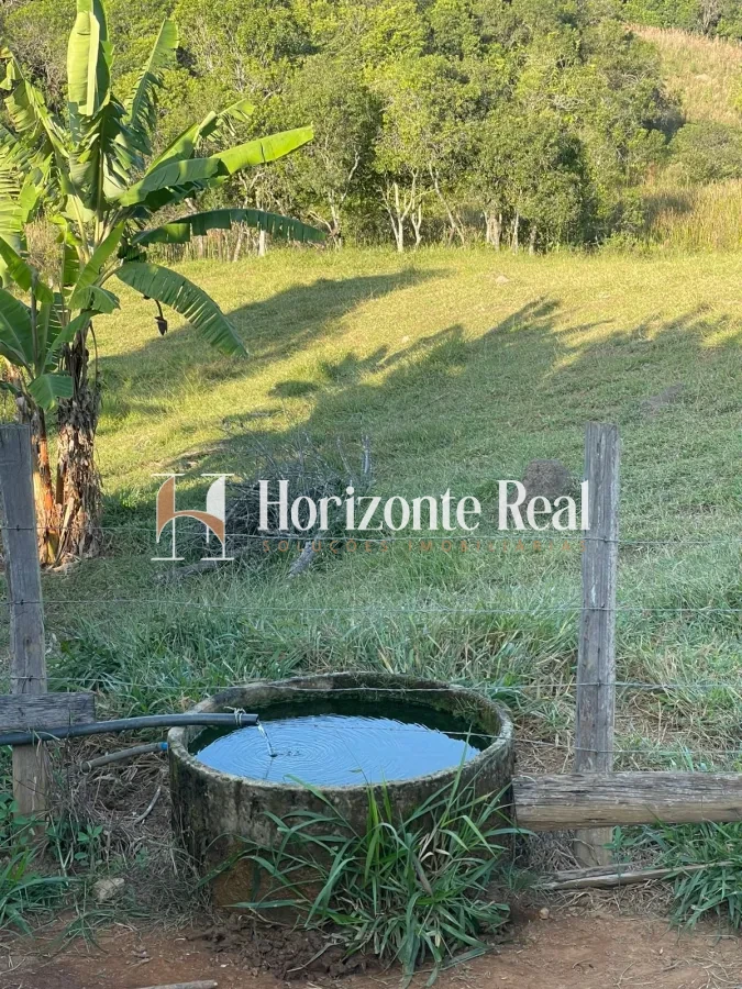 Imagem de VENDE-SE SITIO FORMADO - 5,9 ALQUEIRES - OPORTUNIDADE COMPLETA !!