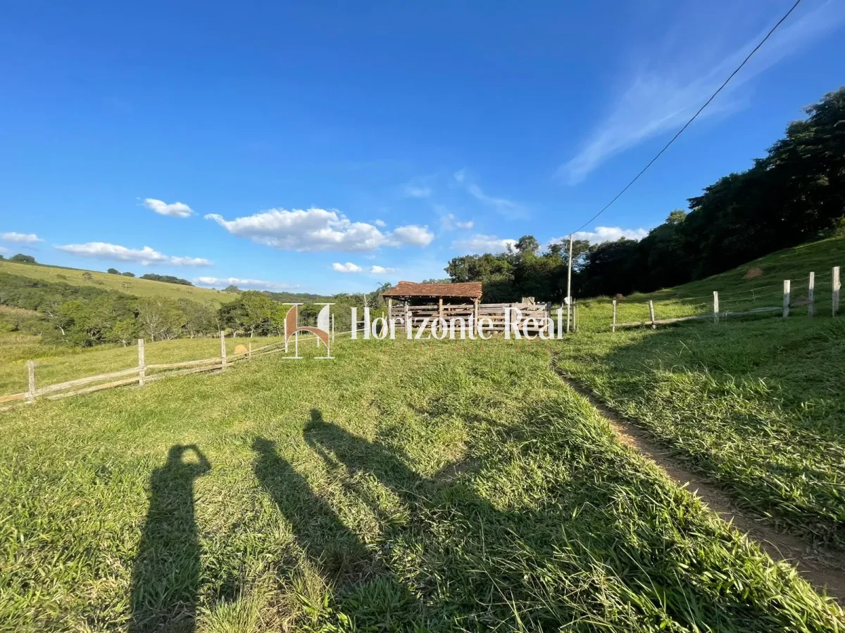 Imagem de VENDE-SE SITIO FORMADO - 5,9 ALQUEIRES - OPORTUNIDADE COMPLETA !!