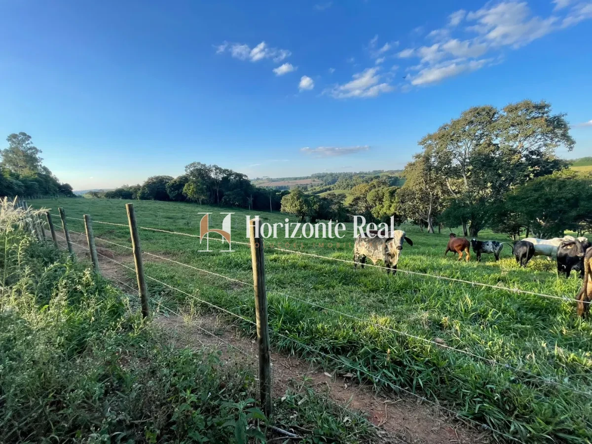 Imagem de VENDE-SE SITIO FORMADO - 5,9 ALQUEIRES - OPORTUNIDADE COMPLETA !!