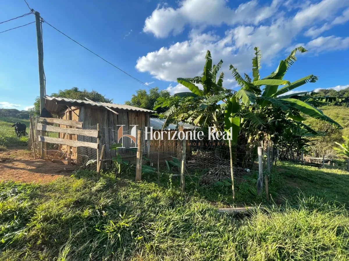Imagem de VENDE-SE SITIO FORMADO - 5,9 ALQUEIRES - OPORTUNIDADE COMPLETA !!