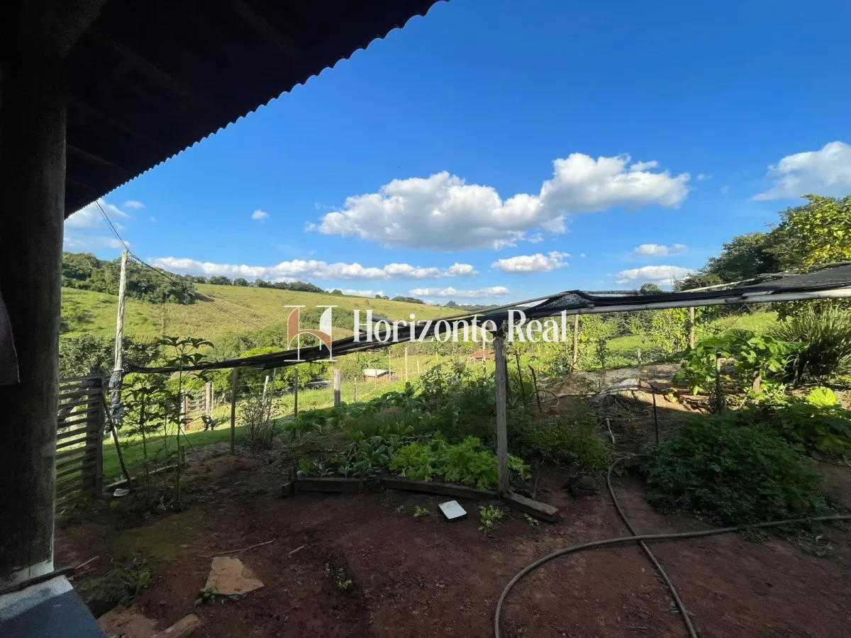 Imagem de VENDE-SE SITIO FORMADO - 5,9 ALQUEIRES - OPORTUNIDADE COMPLETA !!