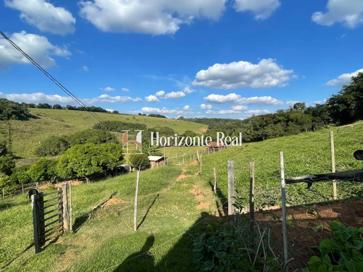 Imagem de VENDE-SE SITIO FORMADO - 5,9 ALQUEIRES - OPORTUNIDADE COMPLETA !!
