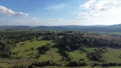 Imagem de VENDE-SE SITIO FORMADO - 5,9 ALQUEIRES - OPORTUNIDADE COMPLETA !!