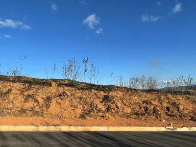Imagem de OTIMA OPORTUNIDADE !! TERRENO A VENDA 207,32M²