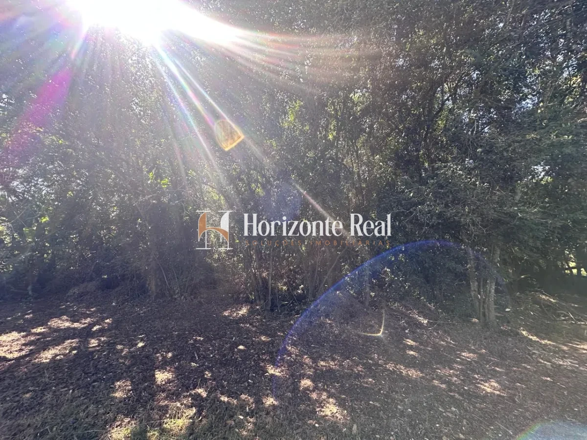 Imagem de VENDE-SE CHÁCARA 2500M² - TRANQUILIDADE E LASER EM UM SÓ LUGAR !!
