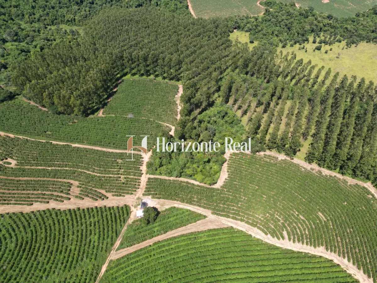 Imagem de FAZENDA SANTA INES