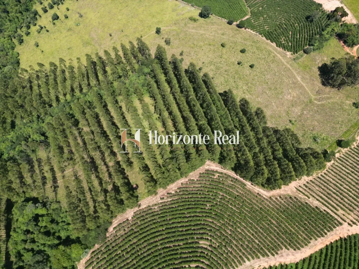 Imagem de FAZENDA SANTA INES