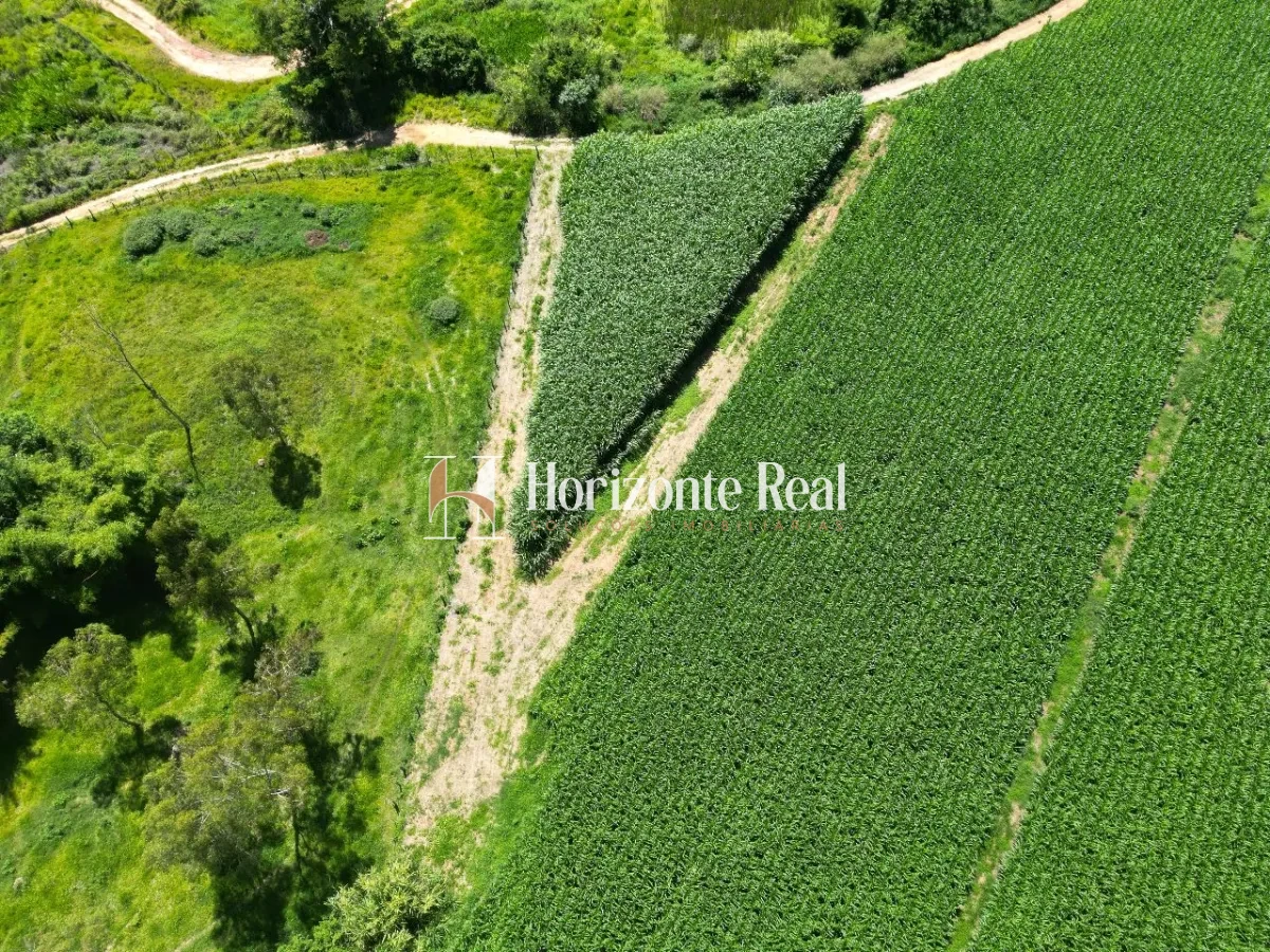 Imagem de FAZENDA SANTA INES