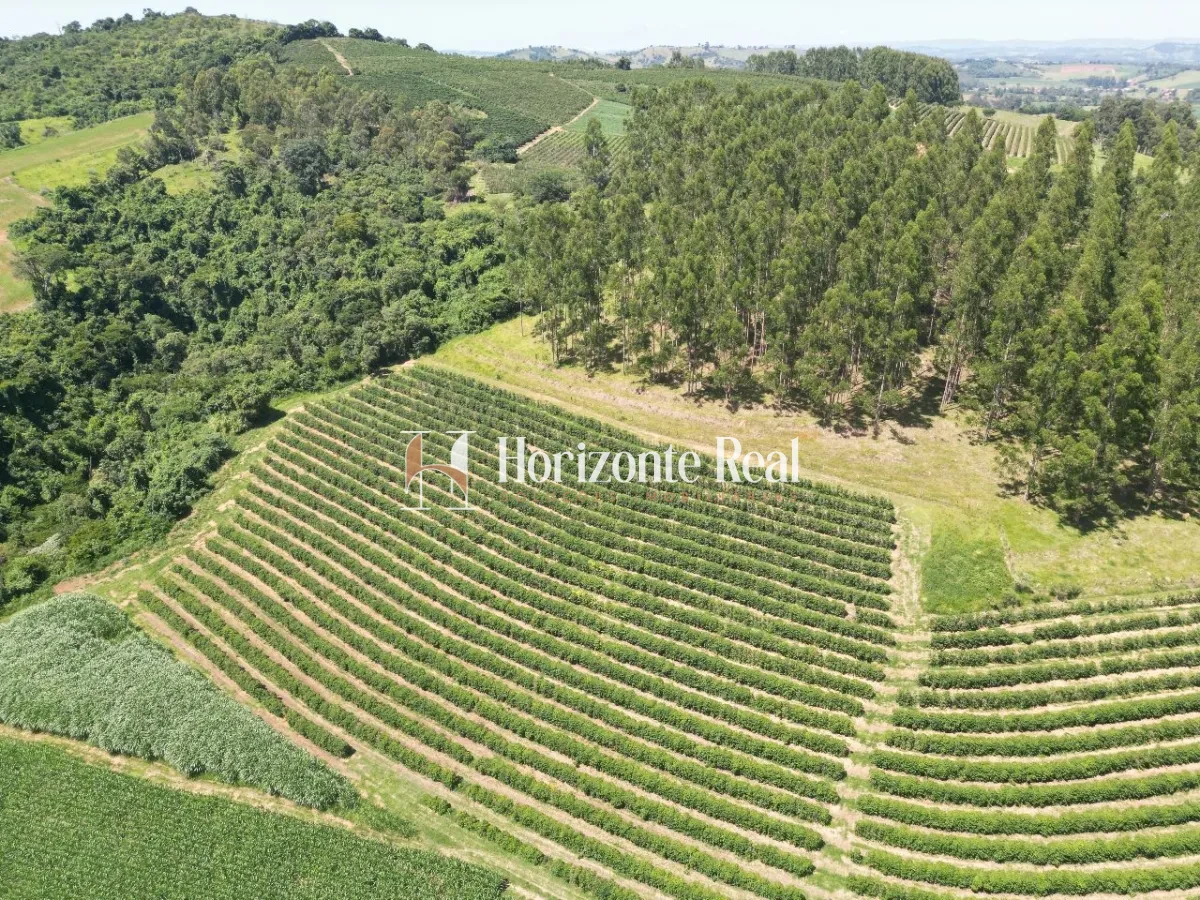 Imagem de FAZENDA SANTA INES