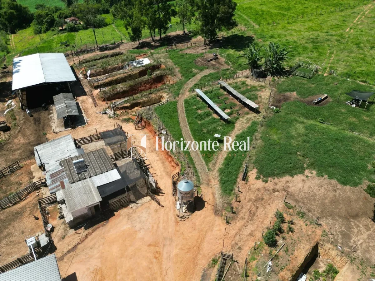 Imagem de FAZENDA SANTA INES