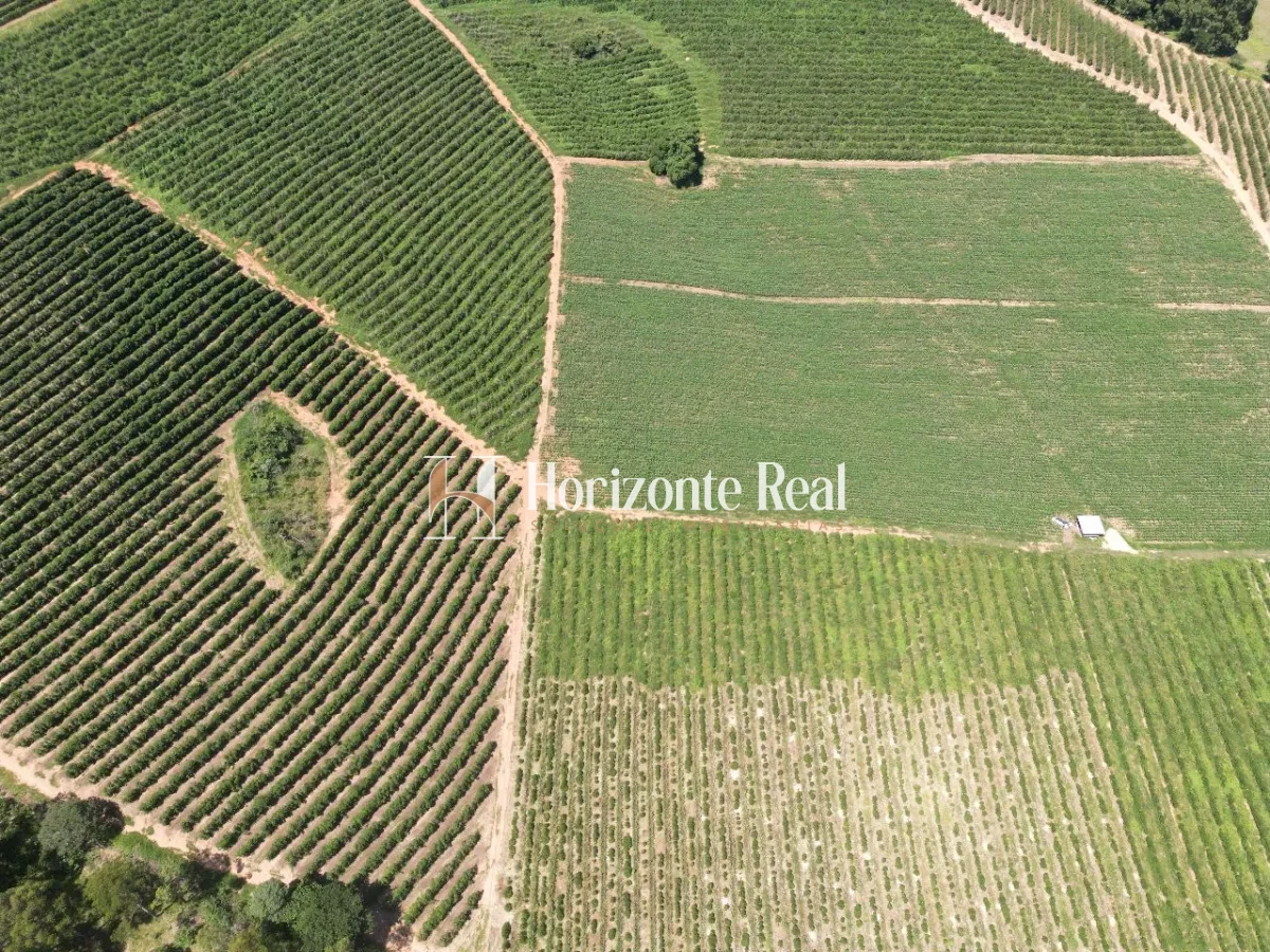 Imagem de FAZENDA SANTA INES