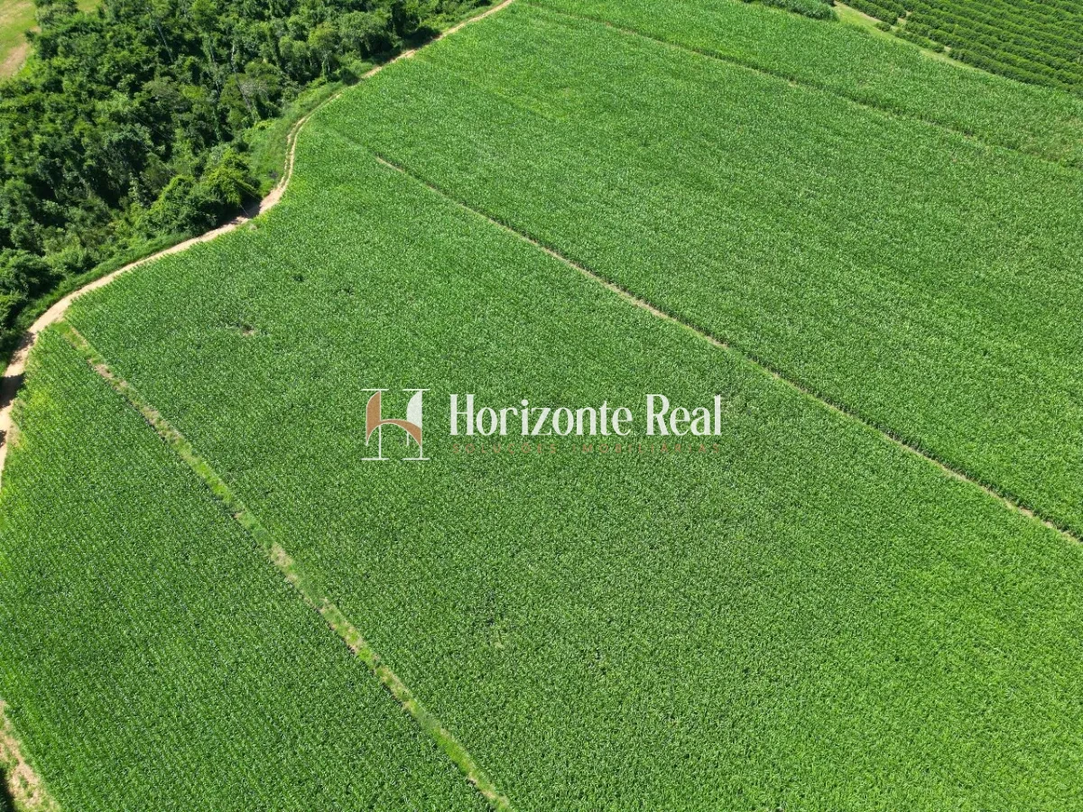 Imagem de FAZENDA SANTA INES