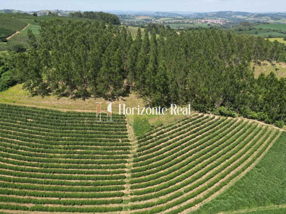 Imagem de FAZENDA SANTA INES