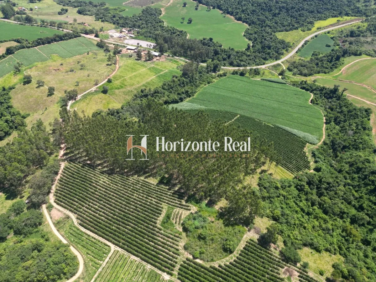 Imagem de FAZENDA SANTA INES
