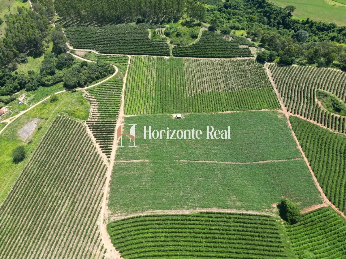 Imagem de FAZENDA SANTA INES