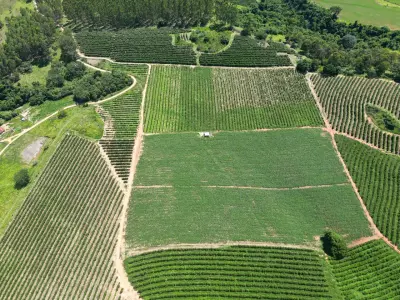 Imagem de FAZENDA SANTA INES