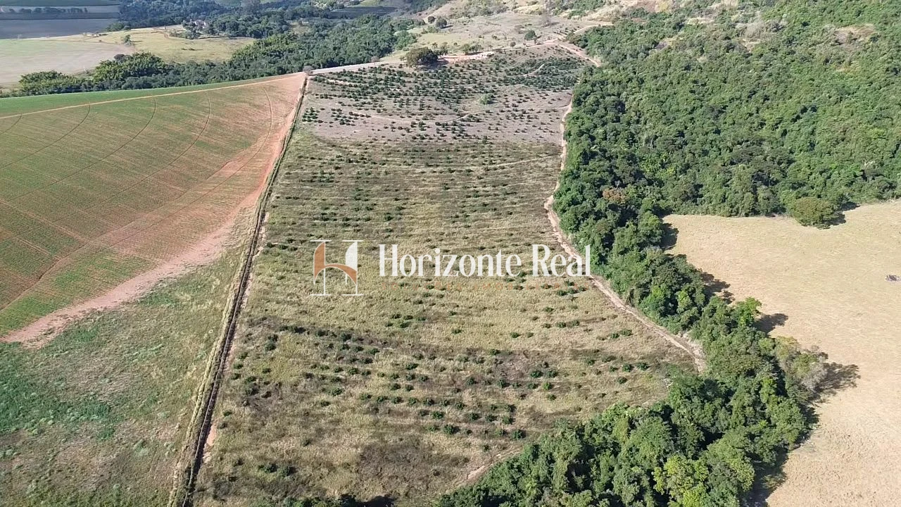 Imagem de FAZENDA À VENDA – 12,5 ALQUEIRES – IMÓVEL ESCRITURADO