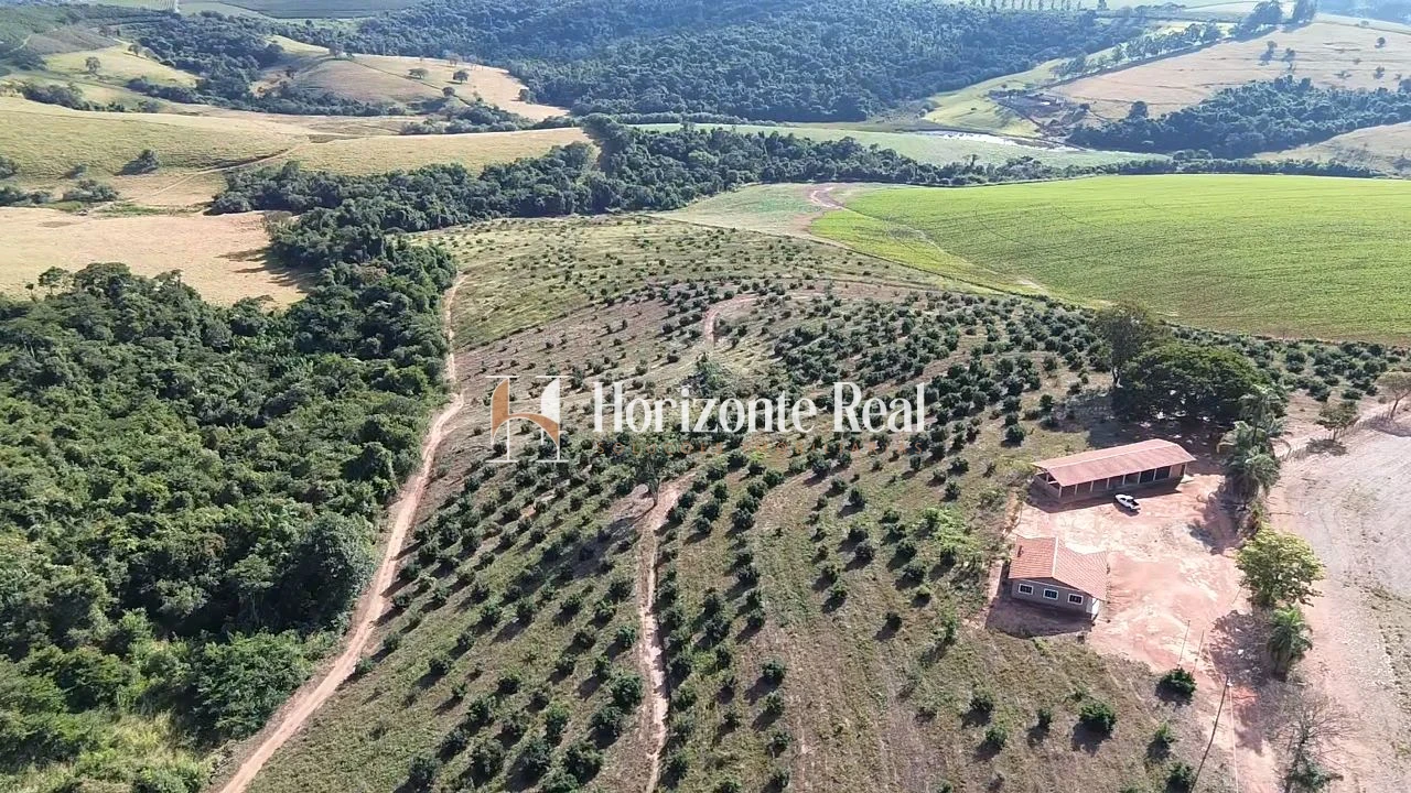 Imagem de FAZENDA À VENDA – 12,5 ALQUEIRES – IMÓVEL ESCRITURADO