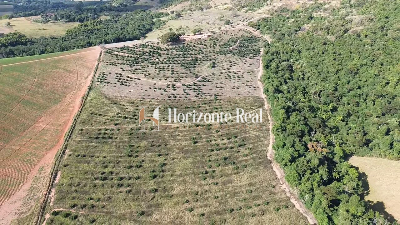 Imagem de FAZENDA À VENDA – 12,5 ALQUEIRES – IMÓVEL ESCRITURADO