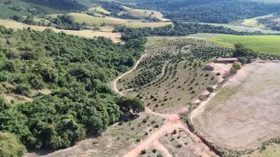 Imagem de FAZENDA À VENDA – 12,5 ALQUEIRES – IMÓVEL ESCRITURADO