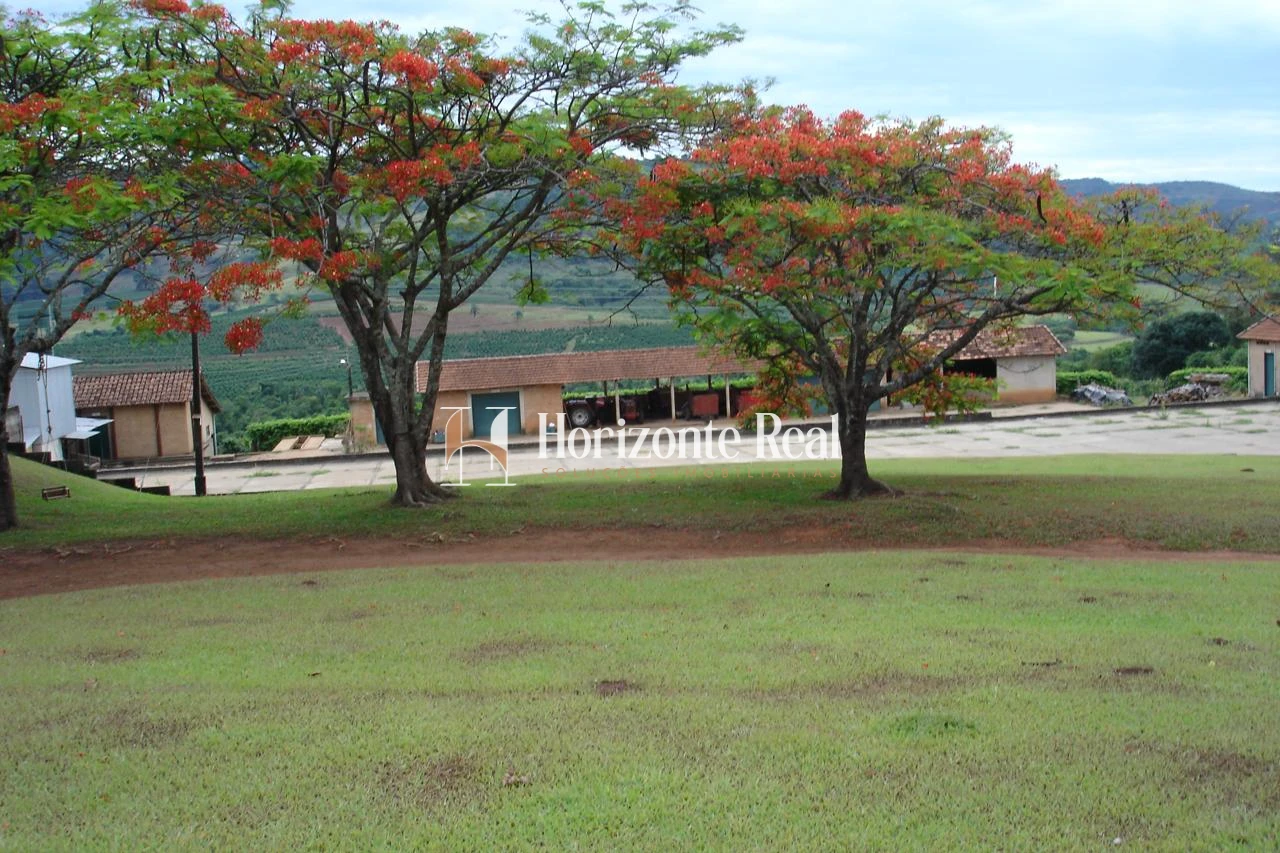 Imagem de FAZENDA À VENDA – PRODUÇÃO ESTRUTURADA, ALTITUDE E RENTABILIDADE!