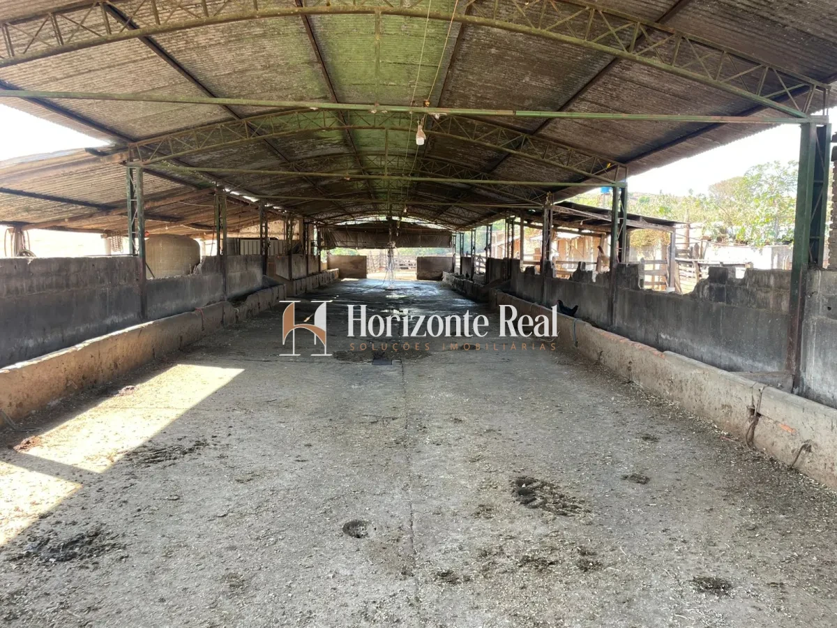 Imagem de FAZENDA Á VENDA - 66 ALQUEIRES